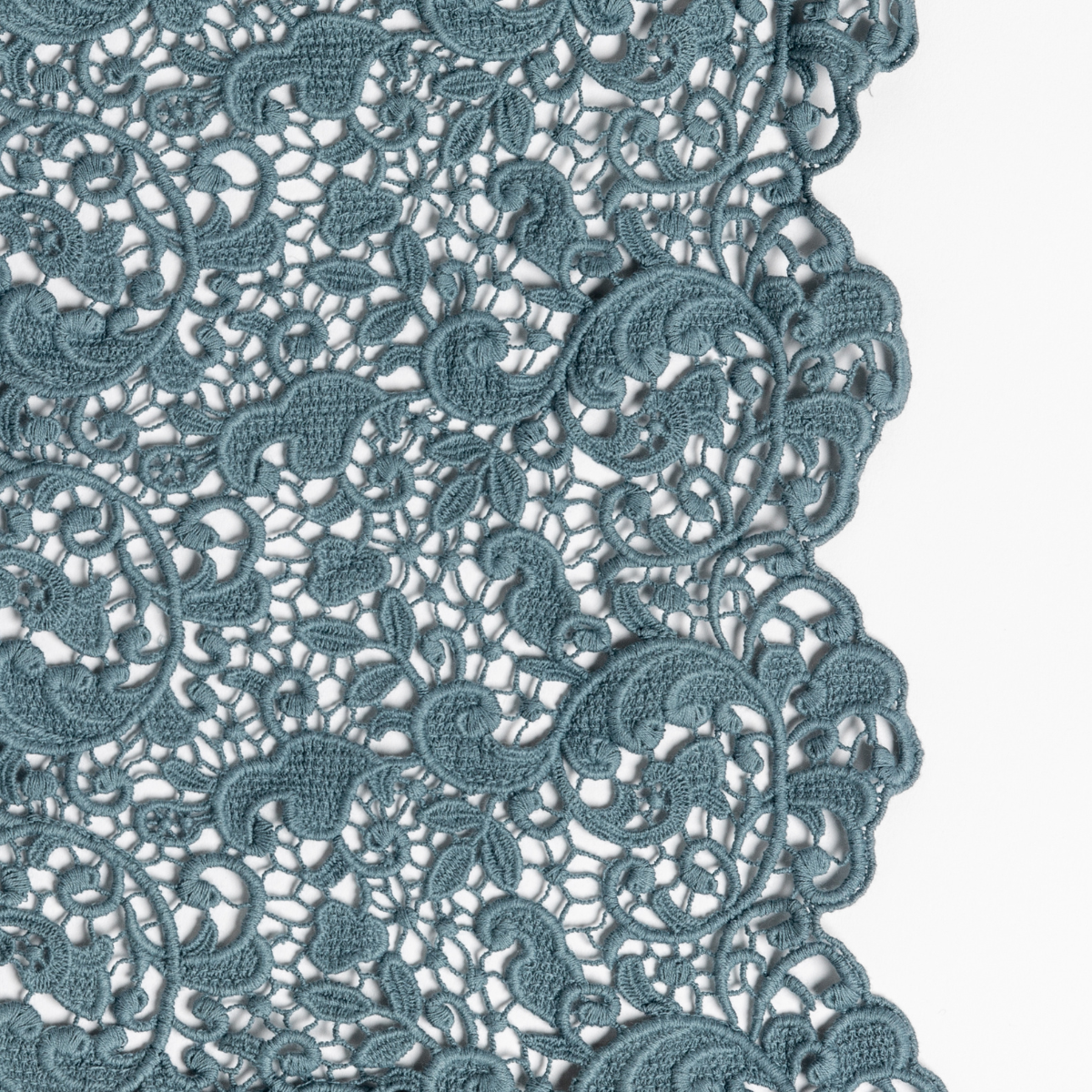 Cenote: a close-up of cotton all-over lace with a scalloped edge.