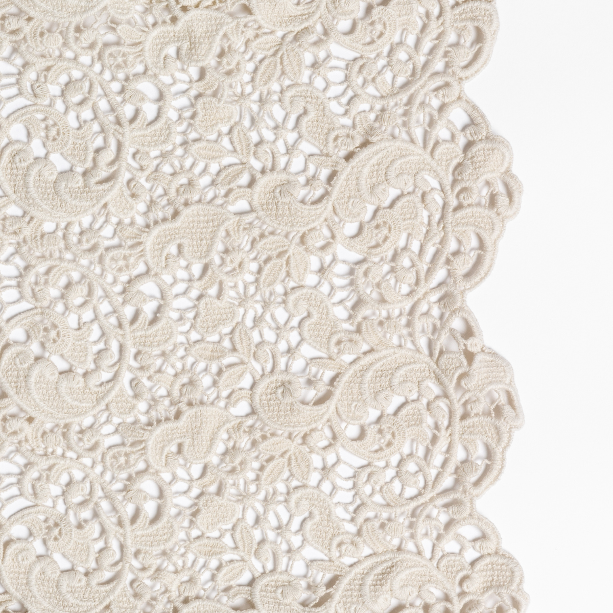 Parchment: a close up of cotton all-over lace with a scalloped edge.