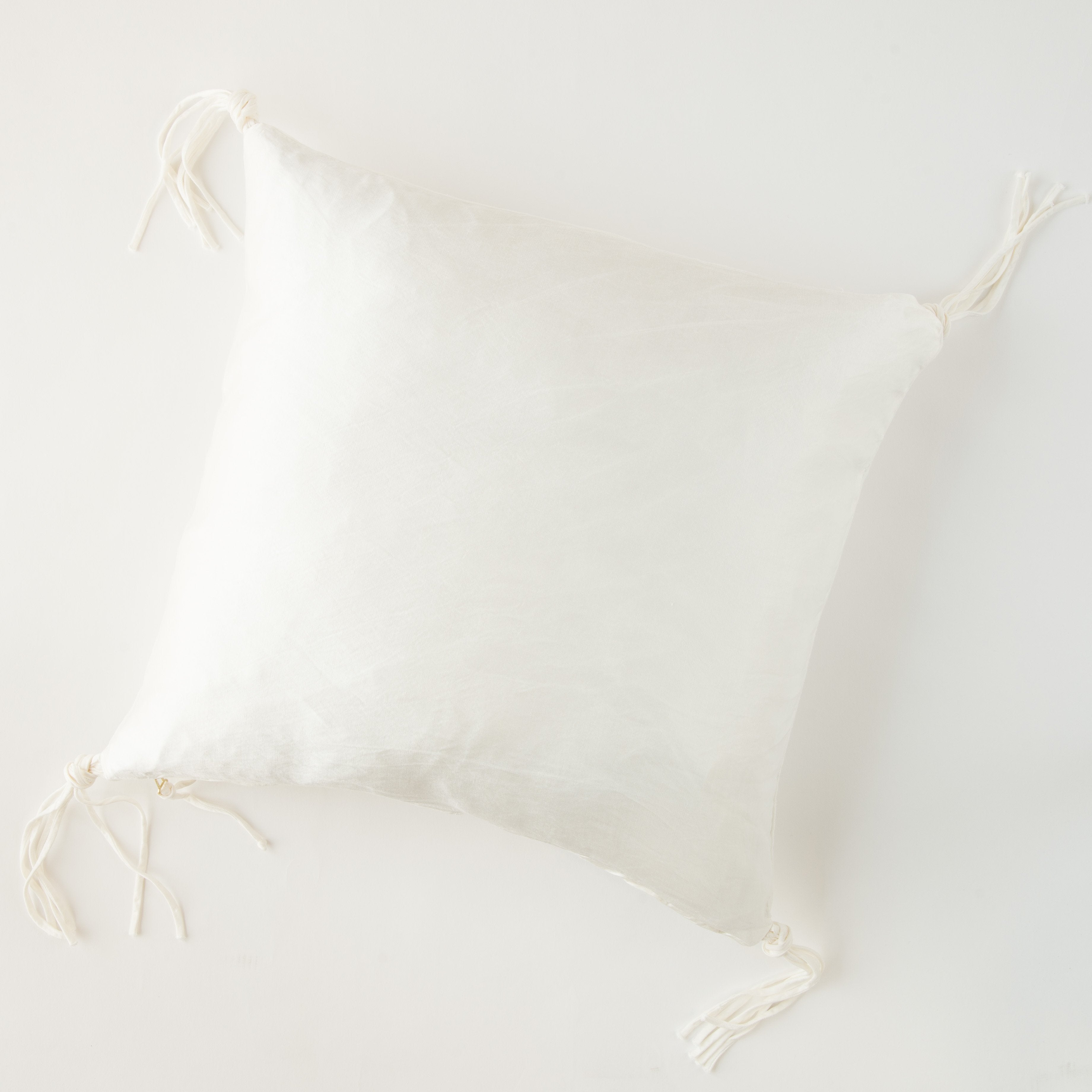 Winter White: overhead view on white background.