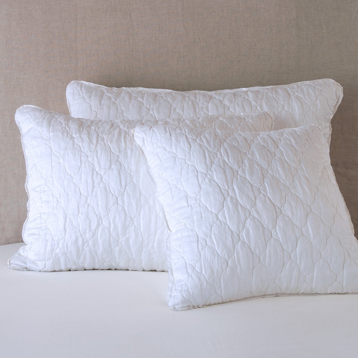 White: shams leaning upright against a neutral background.