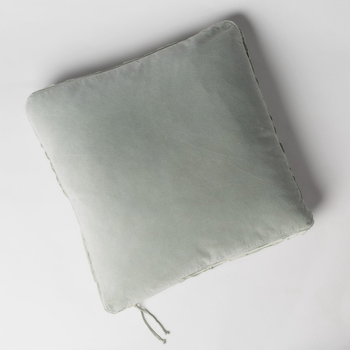 Eucalyptus: Cotton velvet 24 by 24 pillow on a plain background - overhead view.