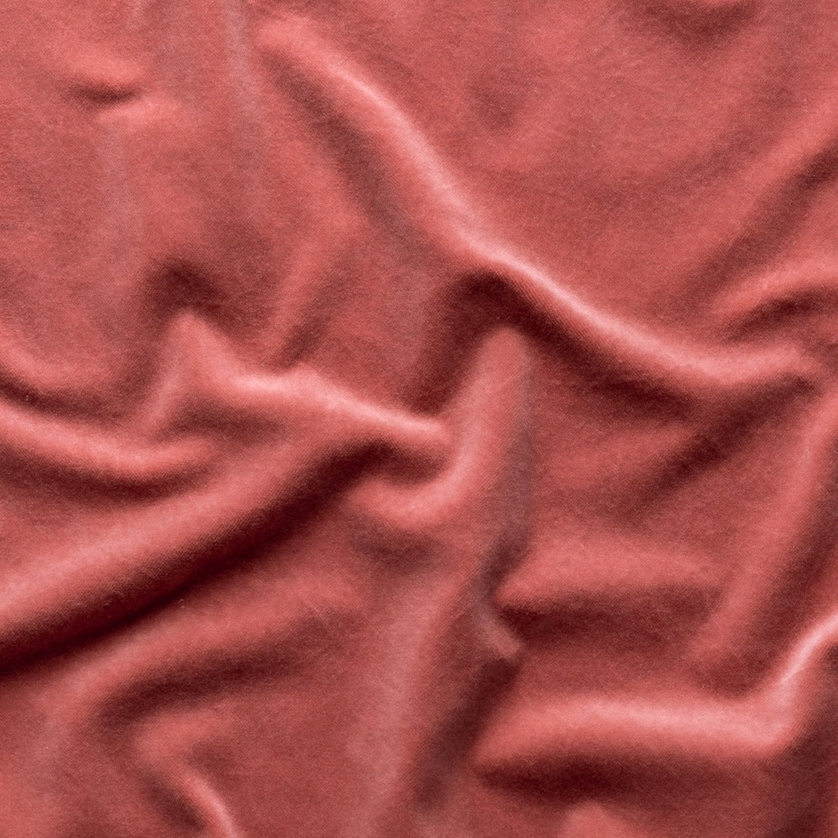 Poppy: A close up of cotton velvet in poppy, a warm coral pink.