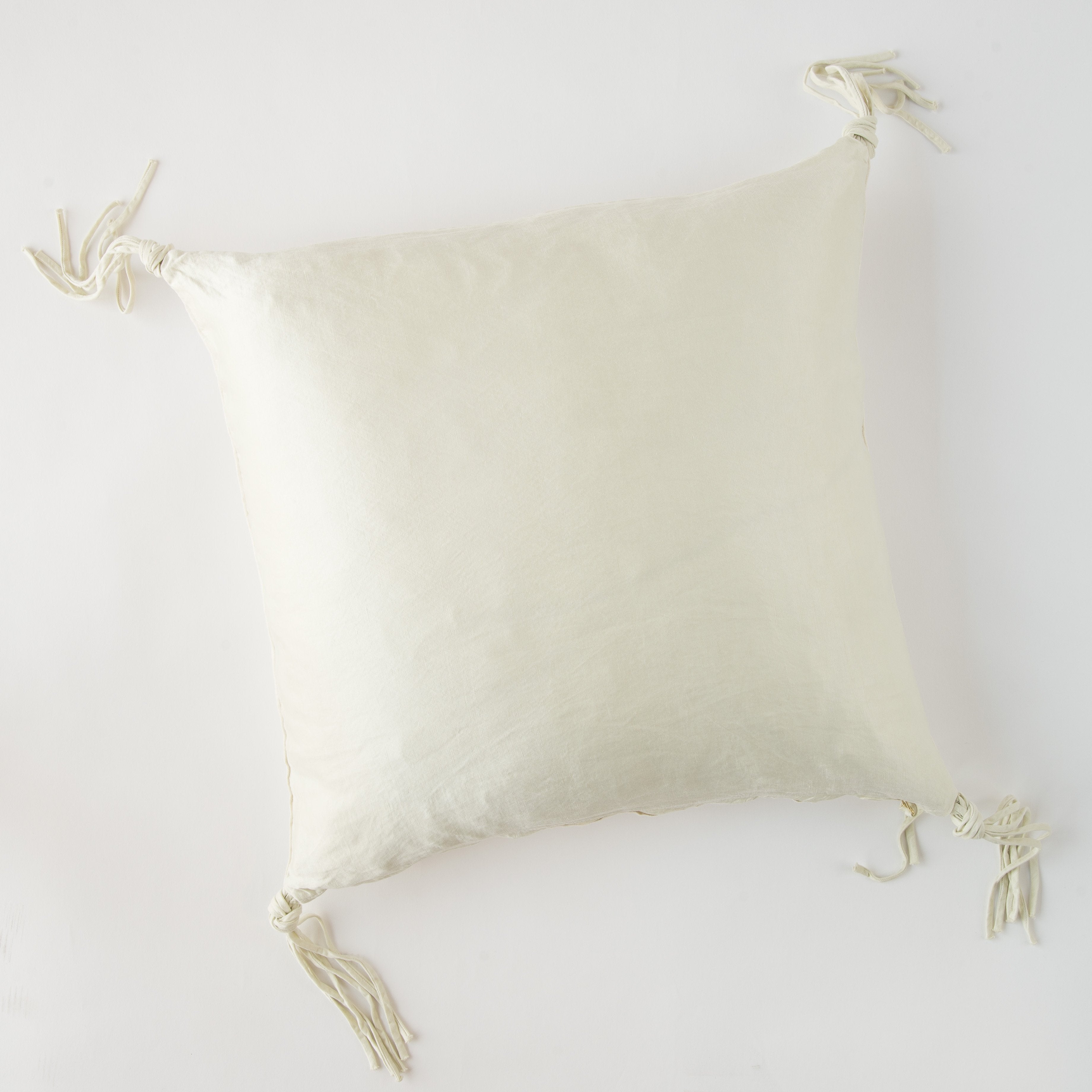 Parchment: overhead view on white background.